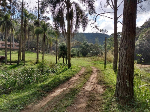 Imagem 11 de 30 de Sítio À Venda Em São Lourenço Da Serra; Sitio Com Piscina À Venda Em São Lourenço Da Serra Sp - 226 - 32982509