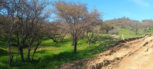 Venta Parcelas Cercanas Al Lago Rapel