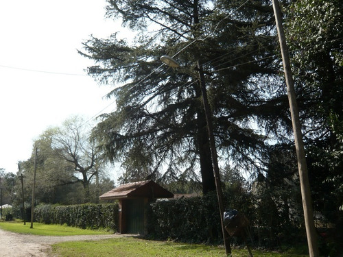 Imagen 2 de 7 de Venta De Parcela Ideal Emprendimiento, Canning.