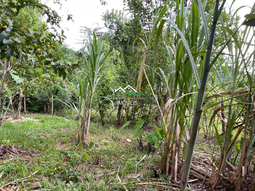 Imagem 9 de 20 de Chácara, Area Rural, Pedro De Toledo - R$ 100 Mil, Cod: 607 - V607