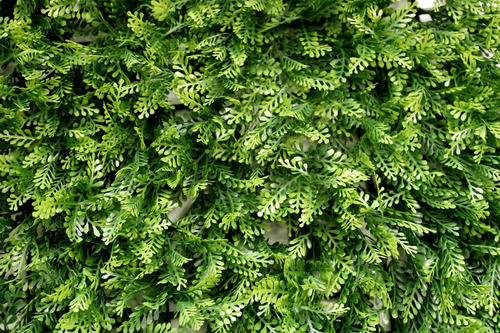 Imagen 5 de 6 de Jardin Vertical Artificial Muro Verde Valencia Panel