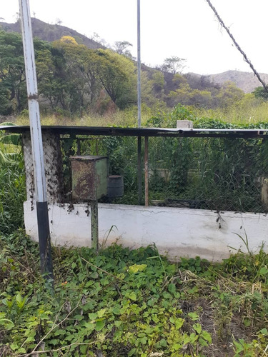 Imagen 6 de 14 de Finca Agroindustrial