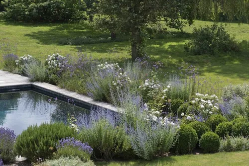 Paisajismo Y Jardinería