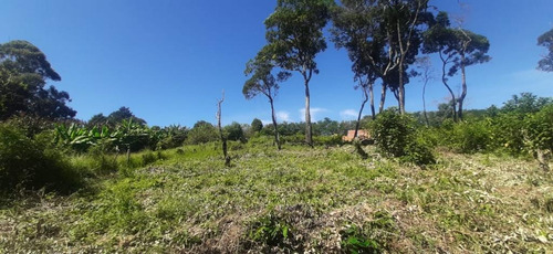 Tenha Um Terreno Em Mairinque De 500² Com Ótima Area!
