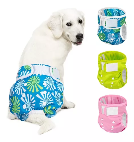 Luxja Pañales reutilizables para perro hembra (paquete de 4), pañales  lavables para perro hembra, S