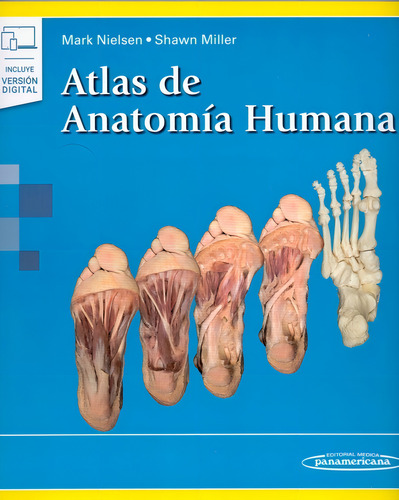 Nielsen Atlas De Anatomia Humana