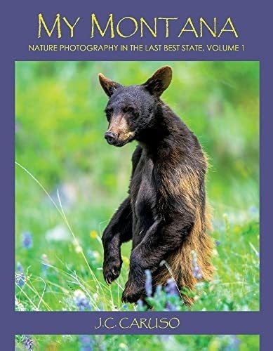 My Montana Nature Photography In The Last Best State, De Caruso, J. Editorial Judgmental Owl Press En Inglés