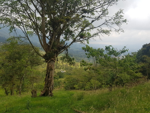 Imagen 8 de 13 de Vendo Finca Clima Templado Cerca De Bogotá, En Subia Cundinamarca 14700mts
