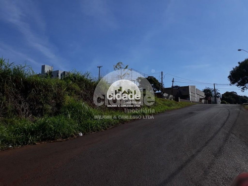 Imagem 3 de 4 de Terreno À Venda, Região Do Lago - Cascavel/pr - 11828