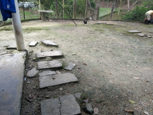 Imagem 9 de 30 de Sitio No Juquiá - St00024