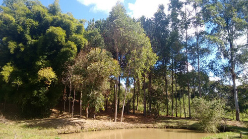 Sitio Com 50.000 Metros Quadrados Em Caxambu Sul De Minas , 09 Klm Da Cidade, Muita Água,bom Para Piscicultura, 03 Lagos Com Peixe. - 246