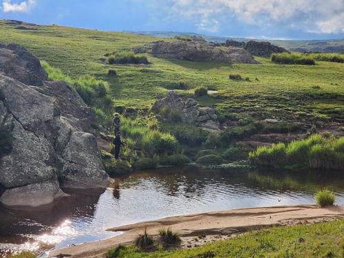 Imagen 17 de 30 de Se Vende Espectacular Fraccion De 70 Hectareas Con Agua, Pastizal, Vistas Unicas, Red 4g Personal En Los Gigantes