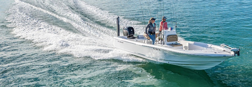 Imagen 4 de 7 de Mercury 40 Hp Elo Super 2t
