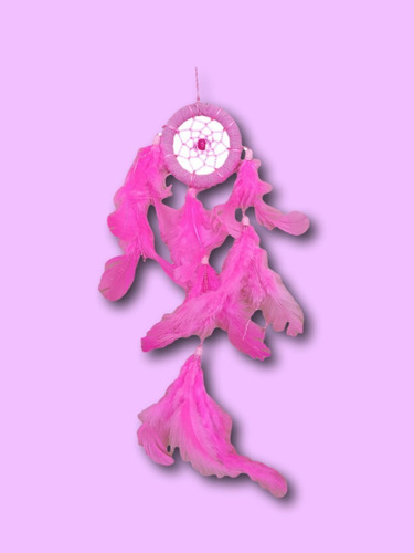 Imagem 2 de 5 de Filtro Dos Sonhos Pequeno Rosa Parabrisa Carro Ref. 1646