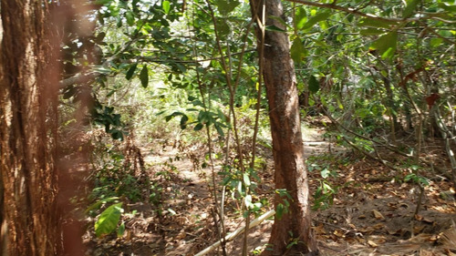 Imagen 24 de 29 de Terreno En Venta Punta Sam, Isla Mujeres