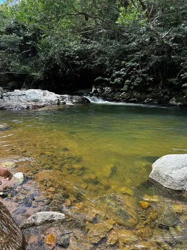 Lote Con Acceso A Río En San Carlos Antioquia