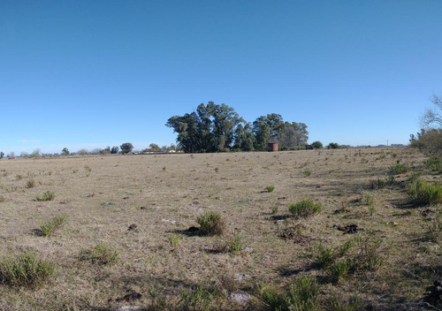 Imagen 8 de 15 de Campo - Zapiola