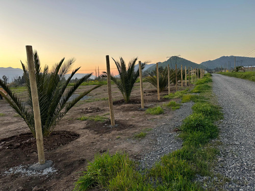 Parcela En San Francisco De Mostazal, Sector Santa Teresa