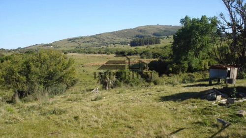 Venta, Campo 98 Hectáreas En Sierras De Carapé