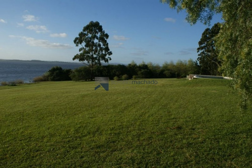 Chacra En Venta Punta Ballena 4 Dormitorios- Ref: 1685