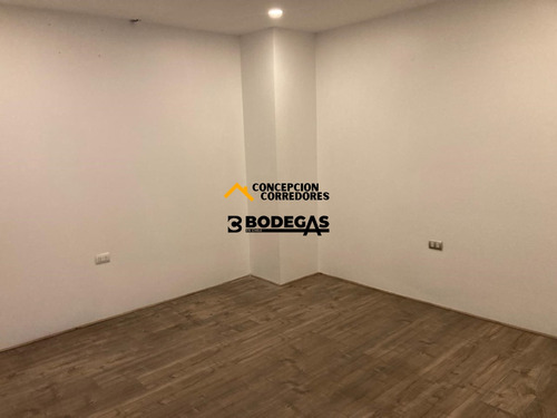 Arriendo Bodega C/of De 234 M2 En Ruta Los Libertadores.