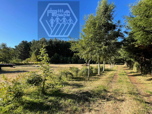 Parcela De 1ha En Venta A 11km De Quepe (96598)