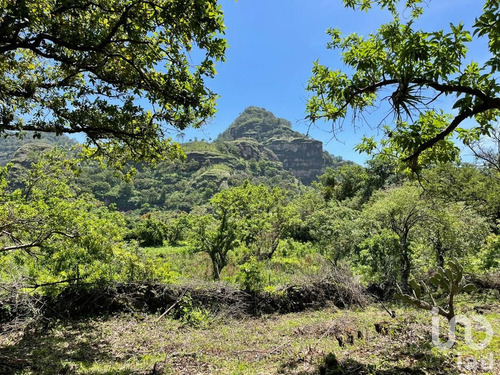 Venta Terreno 0 Ambiente Santo Domingo Ocotitlán