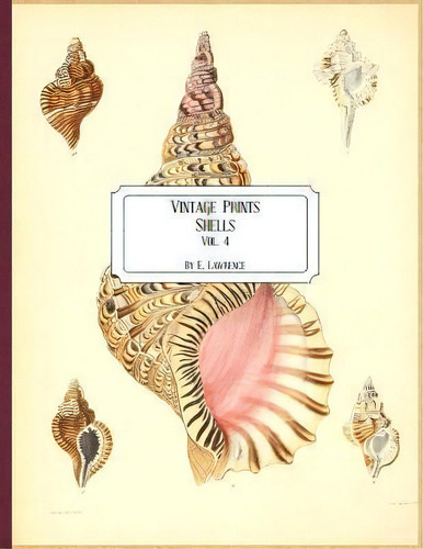 Vintage Prints : Shells: Vol. 4, De E Lawrence. Editorial Createspace Independent Publishing Platform, Tapa Blanda En Inglés