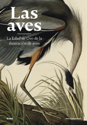 Las Aves - Kennedy Philip