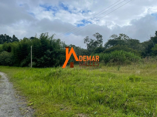 Imagem 8 de 30 de Sitio 25 Alqueires - Juquitiba/sp - St00064 - 70777009