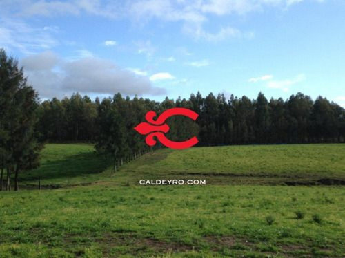 Campo En Maldonado Ref. 4536