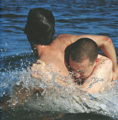 Cd Recto Verso (paradis (2)) Estándar