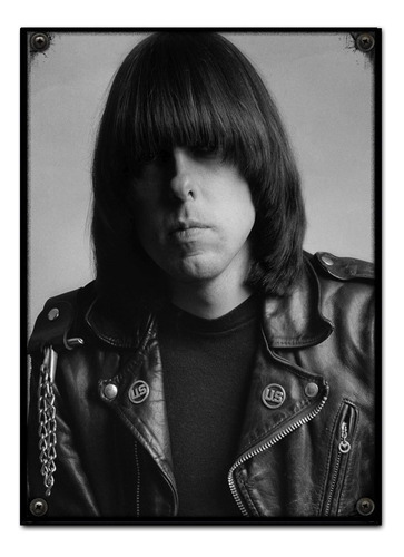 #654 - Cuadro Decorativo Vintage 30 X 40 - Johnny Ramones 