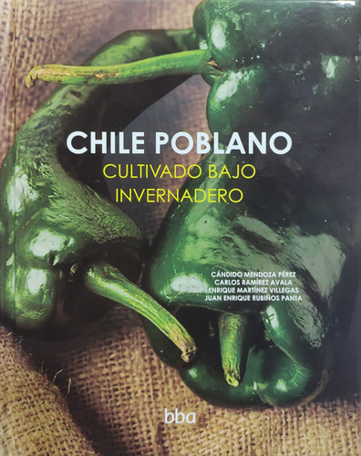 Chile Poblano Cultivado Bajo Invernadero Colpos