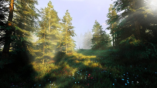 Hunting Simulator 2 - Playstation 4
