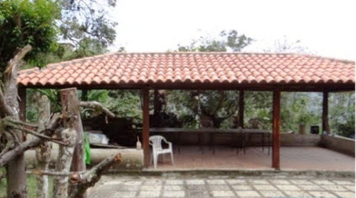 Imagen 9 de 11 de El Naranjal Hoyo De La Puerta
