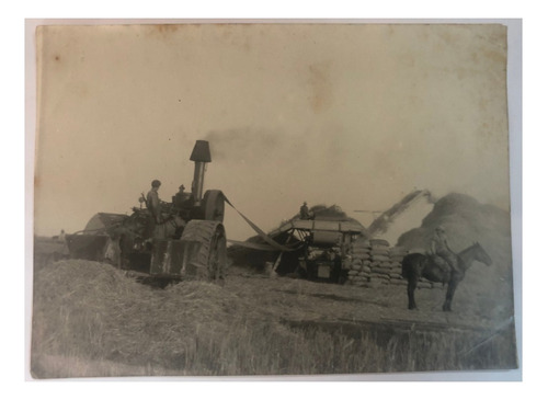 Fotografía Cosechadora En Acción En Bs As - Circa 1910