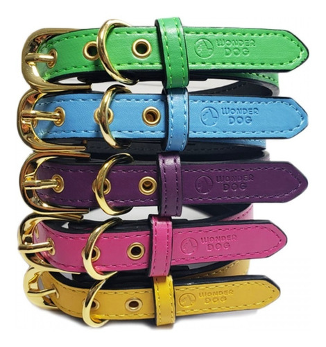  Wonder Dog Collar De Colores Para Perros Talla Xs Pethome