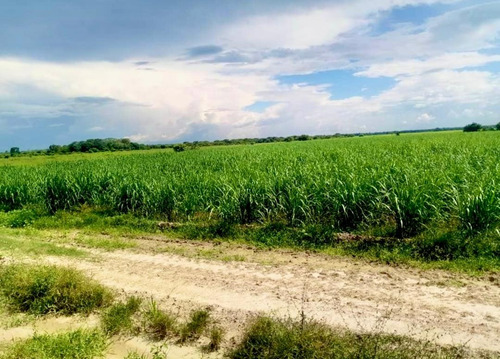 Inmobiliaria Mundo Inn Vende En Cojedes, Hermosa Finca Productiva