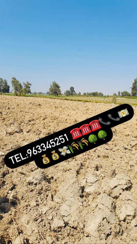 Imagen 11 de 11 de Terreno Agrícola En Pisco - San Clemente Ocasión De Venta