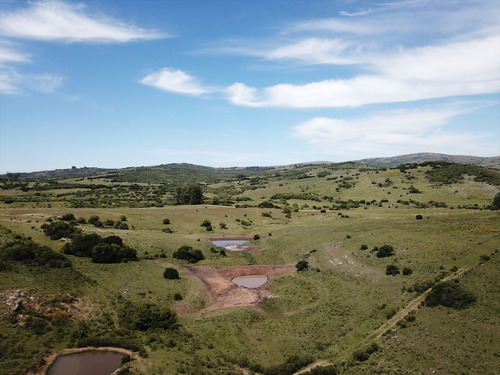 Chacra 5 Hectareas Pueblo Eden Maldonado