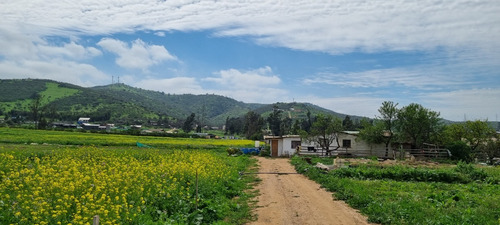 Hermosa Y Bien Ubicada Parcela En Los Laureles Limache