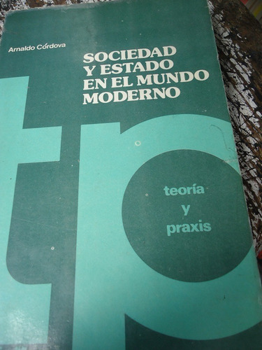 Sociedad Y Estado En El Mundo Moderno Teoría Y Praxis 