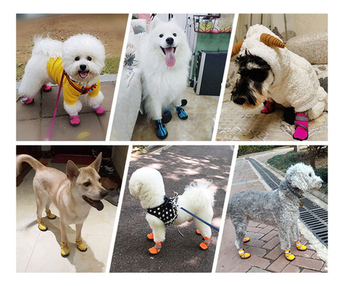 Botas De Nieve, Zapatos Para Perros, Botas Para Mascotas, Go