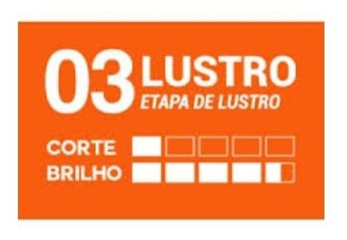 Imagem 4 de 4 de Kit Polidores Evox Evo100 Evo200 Evo300