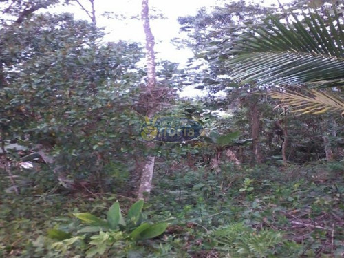 Imagem 1 de 8 de Terreno No Royal Parque - 6153