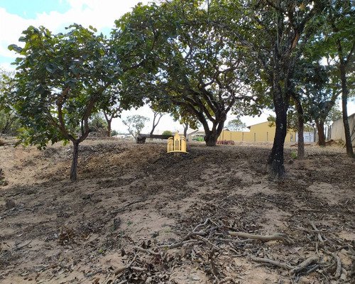 Imagem 13 de 30 de Terreno No Bairro Cidade Jardim - Esmeraldas - Te00295 - 68404585