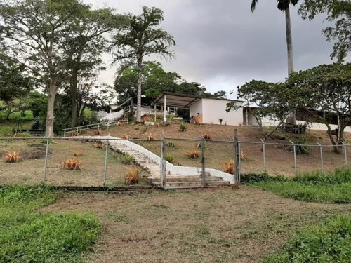 Imagen 1 de 12 de Finca En Venta En Nirgua Yaracuy Marco Sevilla C425989
