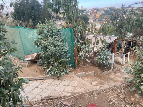 Parcela En Venta Con 3 Cabañas En Altavalsol La Serena