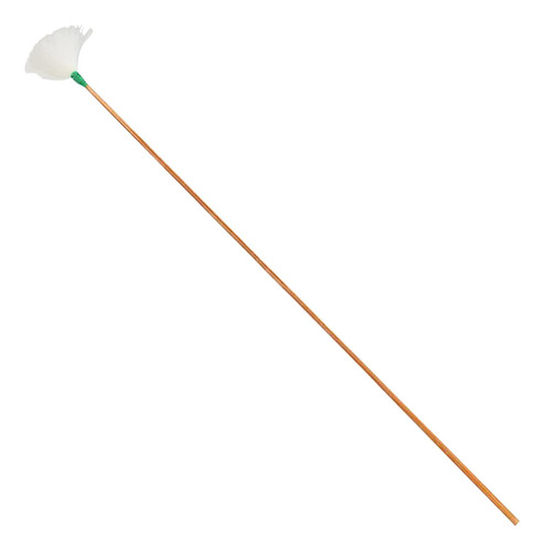 10 Palillos De Pluma De Ganso Para Adultos Y Hilo Verde L